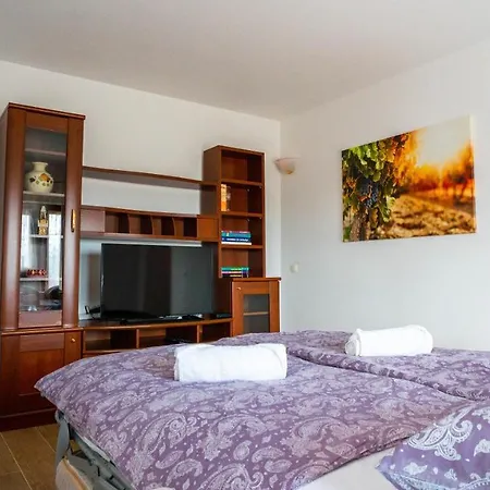 Apartma Tri Oljke Διαμέρισμα *