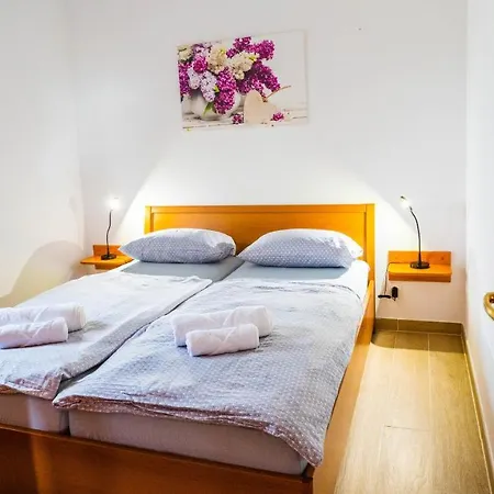 Apartma Tri Oljke * 多布罗沃