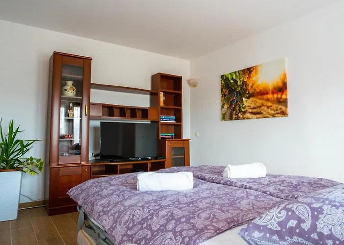 Apartma Tri Oljke Daire *