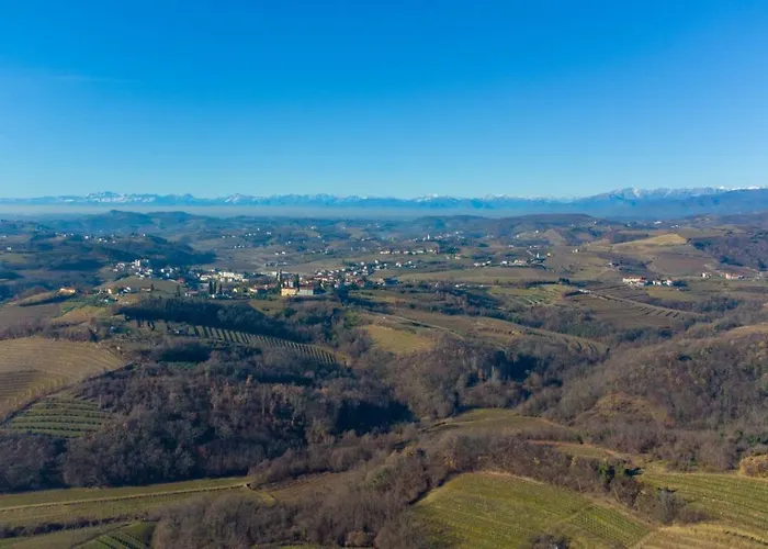 Apartma Tri Oljke Daire